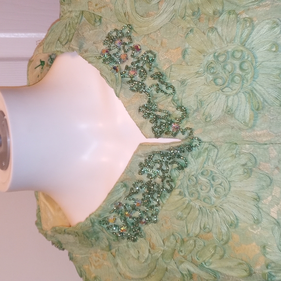 Lace beaded dress - Picture 3 of 6